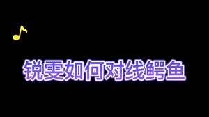 经典对位锐雯and鳄鱼