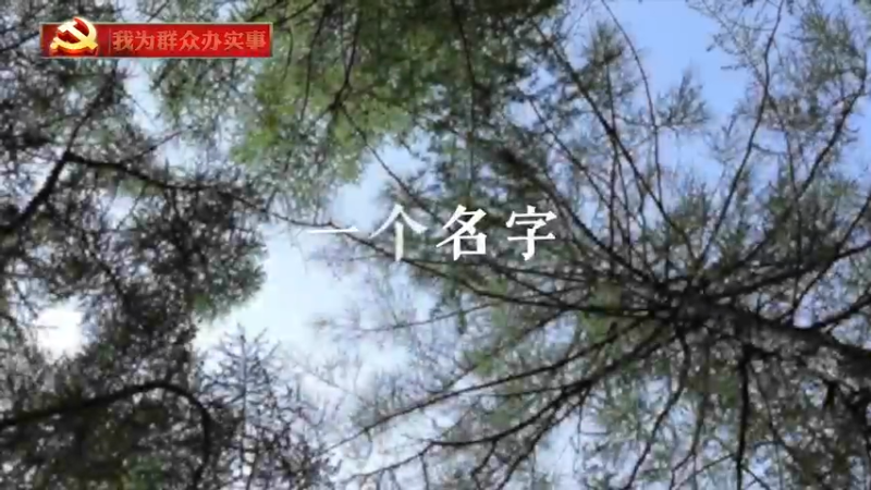 我为群众办实事