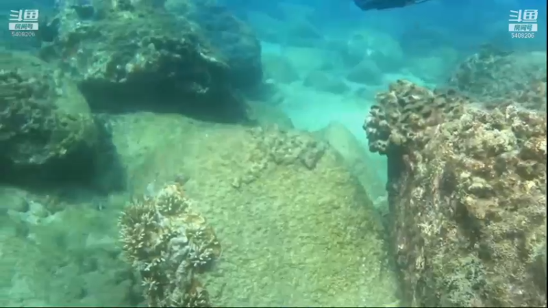 【2021-11-17 07点场】海道丶：多元化筹备中……