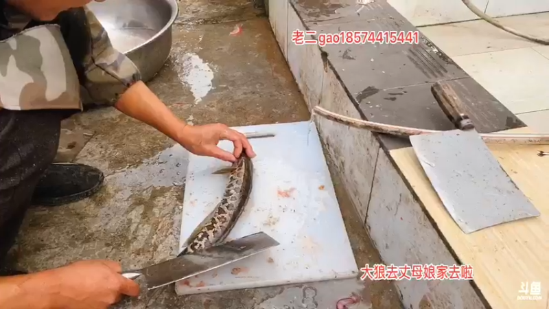 【2021-11-17 15点场】魅力生活i：今天弄柴熏制腊货