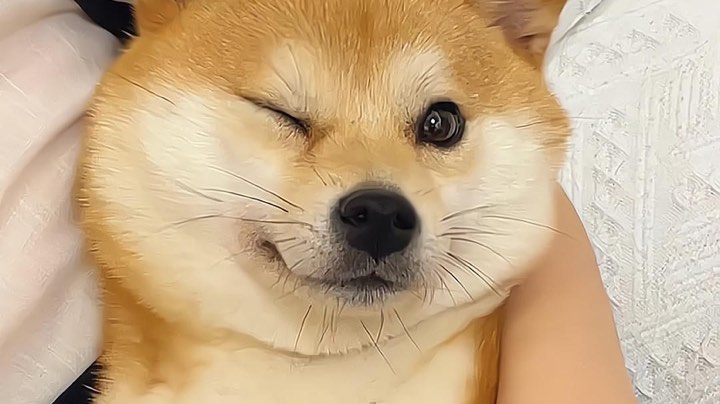 芜湖