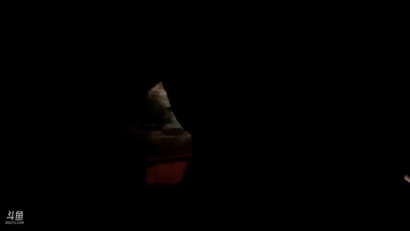 【2021-11-17 20点场】魅力生活i：水库叉鱼上货10斤大货