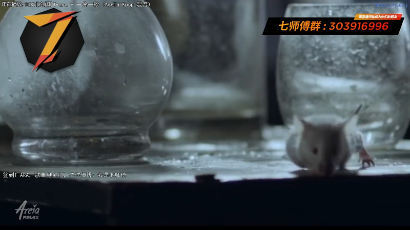 【一起看】7师傅的精彩时刻 20211117 09点场