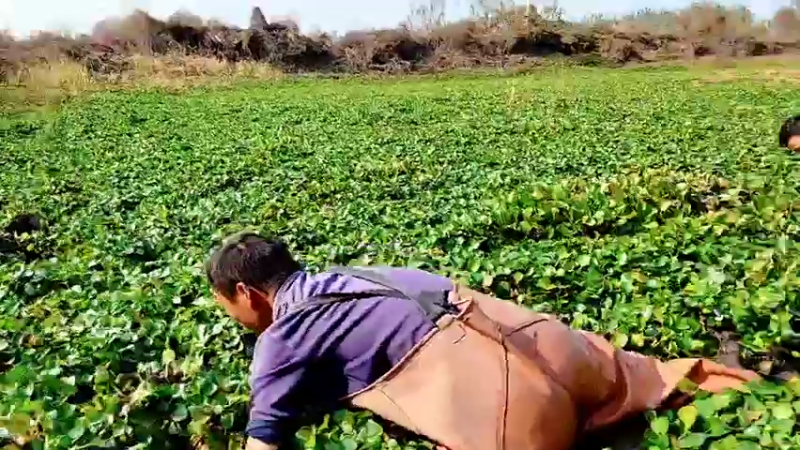 【2021-11-18 13点场】洪湖小肖：加油加油加油加油 447507