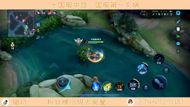 【2021-11-17 20点场】猫幼zzz：金蝉教学 0.0