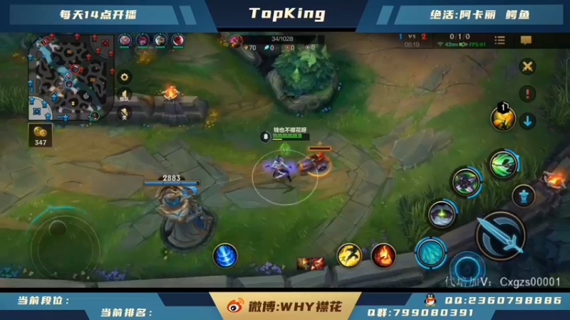【2021-11-17 15点场】襟花啊：王者阿卡丽微信区带粉