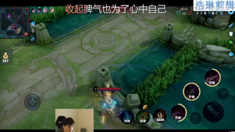 少年不太冷教学吕布10.30-8