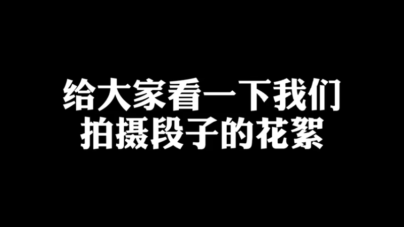 国内某某不知名大导演在线制片