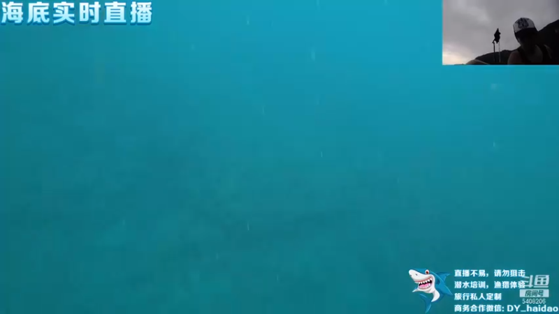 【2021-11-18 15点场】海道丶：多元化筹备中……