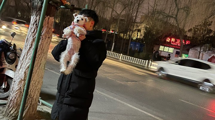 正常