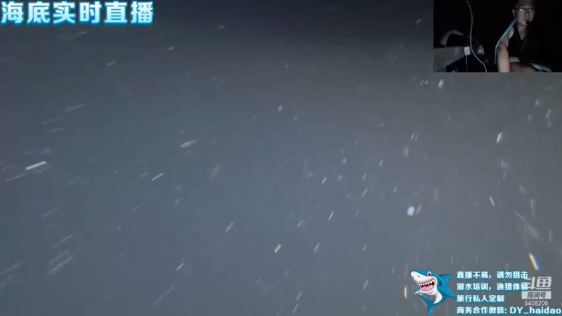 【2021-11-18 21点场】海道丶：多元化筹备中……