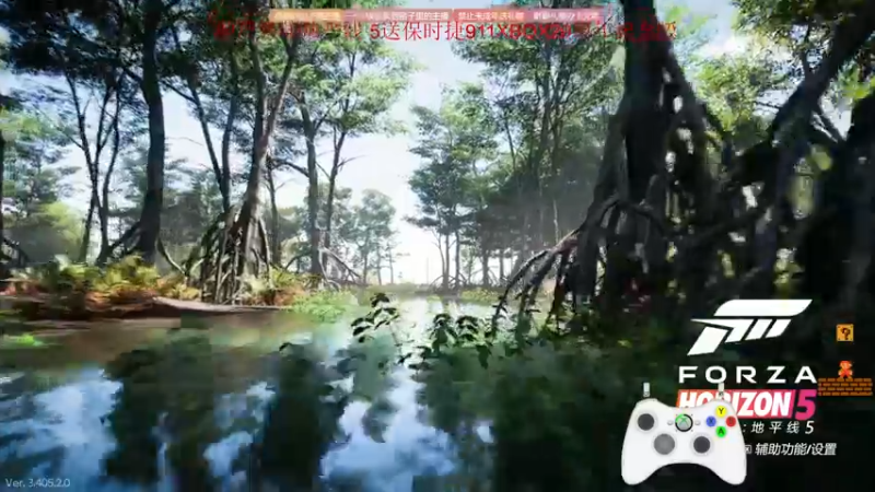 【2021-11-17 17点场】大冰棍丶儿：极端画质下的车祸现场