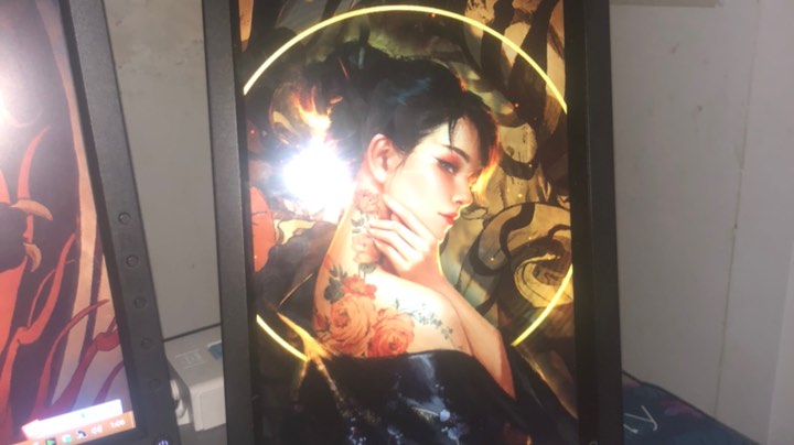 胡桃专场