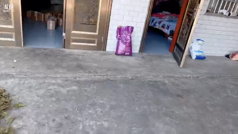 【2021-11-18 11点场】魅力生活i：快乐的一天开始啦 468241