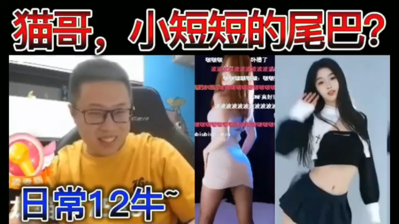 猫哥，小短短的尾巴？日常12牛