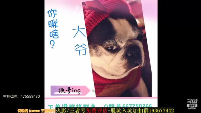 【2021-11-17 22点场】小马锅马杰：马锅：祝我科二顺利。