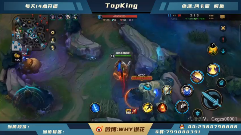 【2021-11-17 17点场】襟花啊：王者阿卡丽微信区带粉