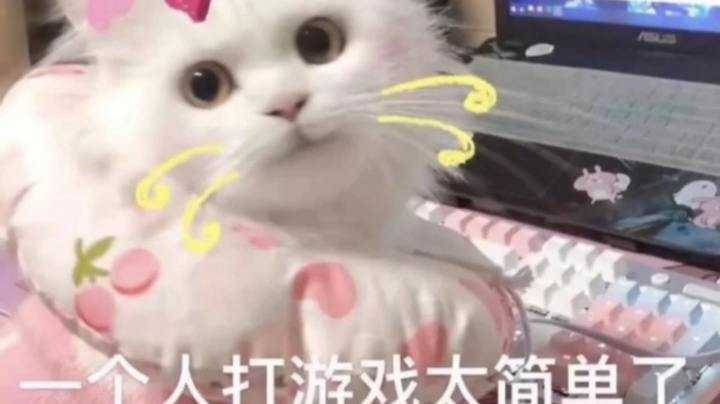 你自盛夏南风来001