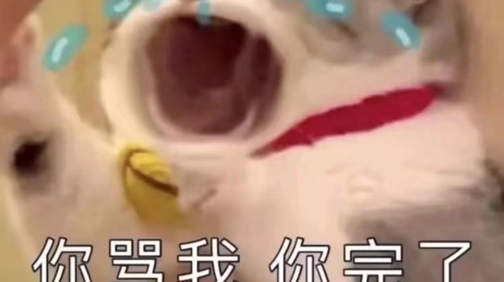 啊对对对