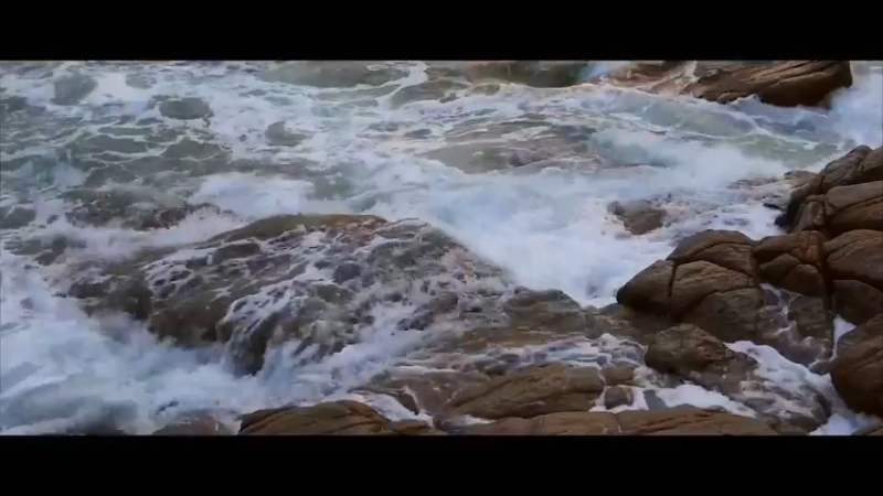 【2021-11-19 13点场】逐梦兄弟：野王的加冕Day1