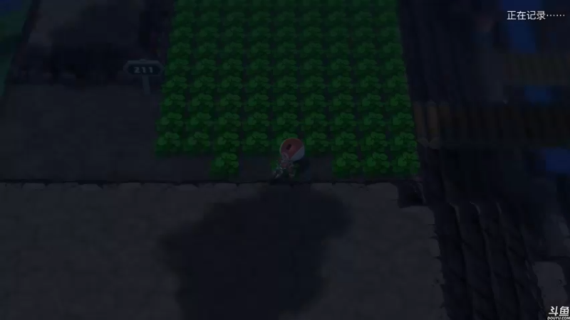 【2021-11-19 02点场】猫叔灬灬：【猫叔】宝可梦来了，让我们一起吐槽它吧~