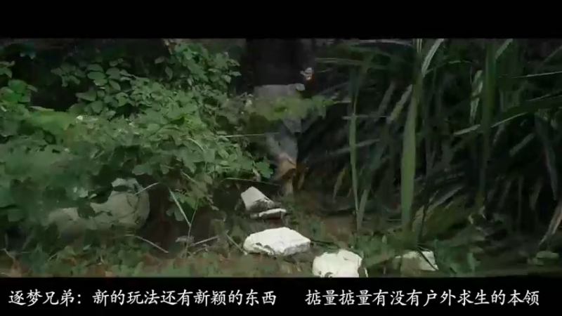 【2021-11-19 13点场】逐梦兄弟：下午2点，岛上不见不散