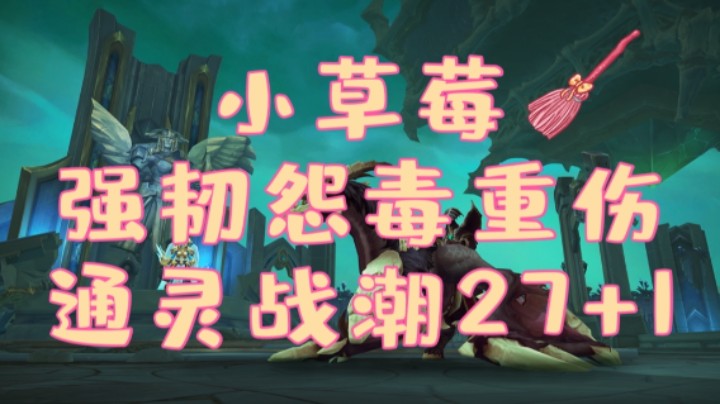 【法夜冰大秘境】27通灵战潮练习册 强韧怨毒重伤