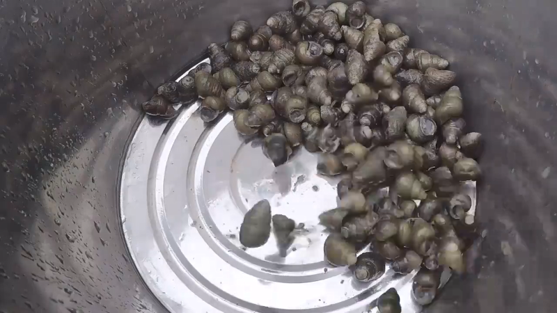 【美食】野食小哥的精彩时刻 20211119 12点场