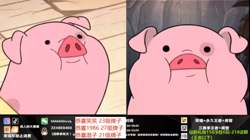 【2021-11-18 17点场】迷人的大魔猪：国服金蝉 wx带粉上分 体验感十足