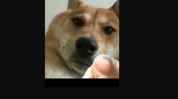 你不要给我搞事情哦！