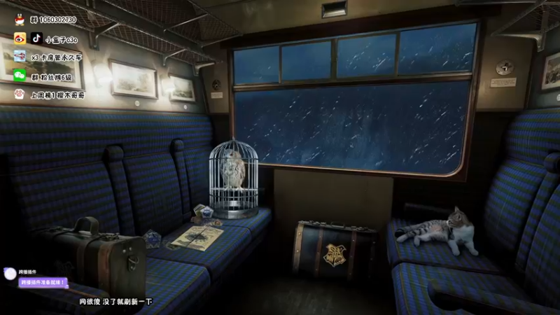 【2021-11-19 12点场】小盒子u：小盒子：困困困【世界总决赛】