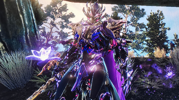 星际仓鼠第二天