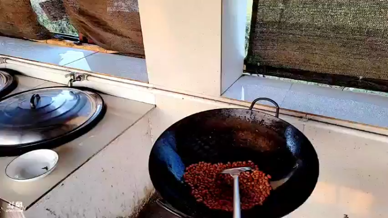 【2021-11-19 17点场】洪湖小肖：洪湖小鱼11月24生日快乐