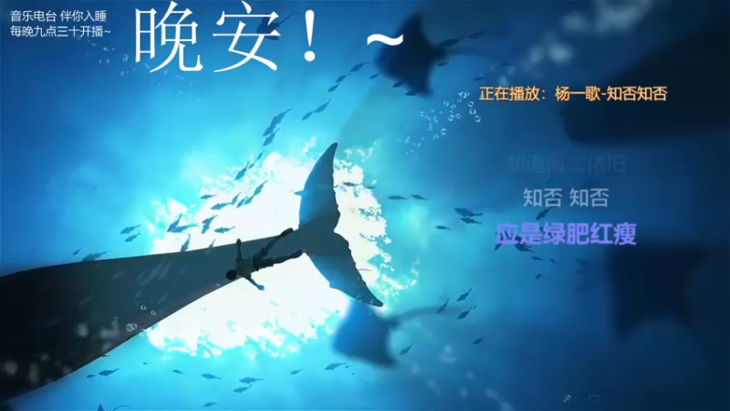 【2021-11-19 03点场】杨一歌：杨一歌：向着歌前进～11258