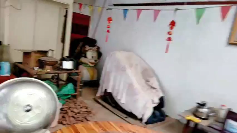 【2021-11-19 11点场】洪湖小肖：洪湖小鱼11月24生日快乐