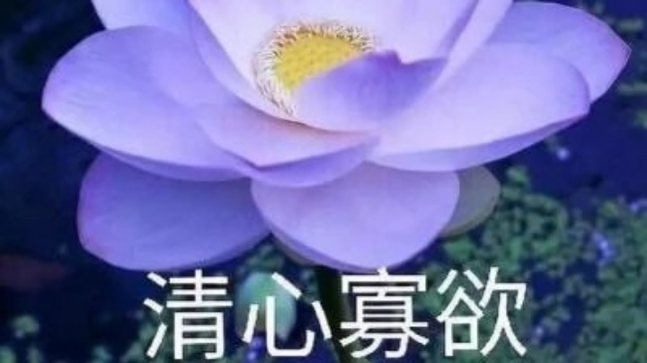 一区一赛区冠军杯