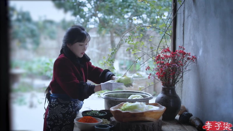 【美食】李子柒liziqi的精彩时刻 20211120 10点场