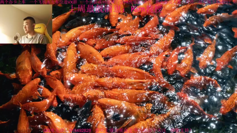 【2021-11-18 09点场】主播世贤：最强画质，极致体验