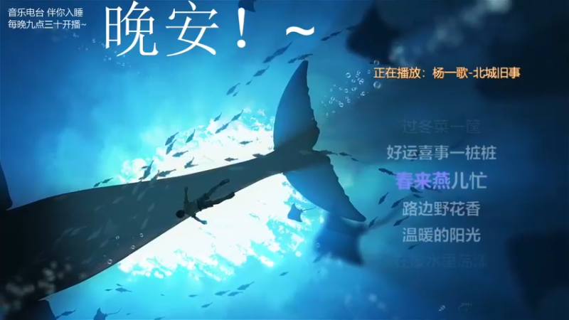 【2021-11-20 02点场】杨一歌：杨一歌：向着歌前进～11258