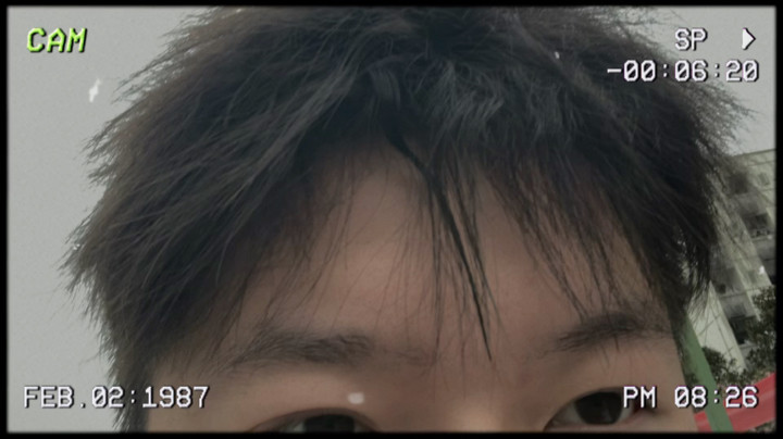 20年