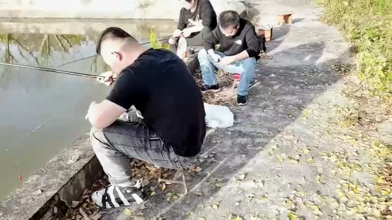 【2021-11-20 15点场】正经人令北：【令北】快乐的直播DAY55