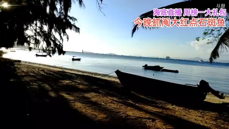 【2021-11-20 17点场】海道丶：海底实时直播