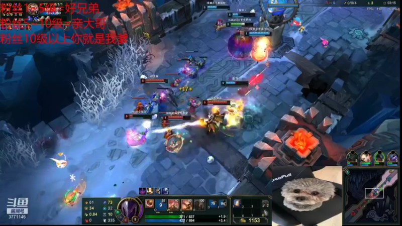 【2021-11-16 15点场】菜神卡卡罗特：三区娱乐对局
