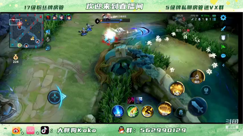 【2021-11-20 20点场】大胖狗koko：金禅 冲国服 斗鱼最强导师