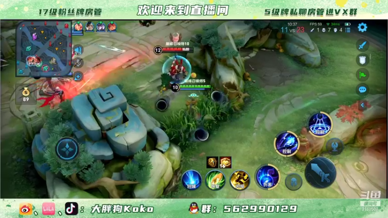 【2021-11-20 16点场】大胖狗koko：金禅 冲国服 斗鱼最强导师