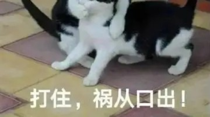 11.19队内2