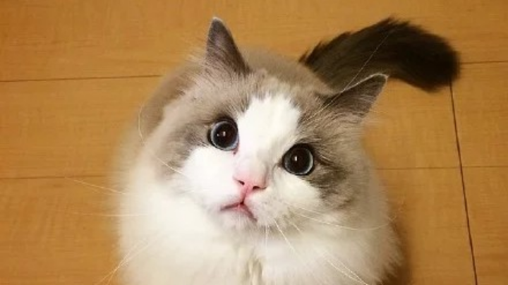 略略略