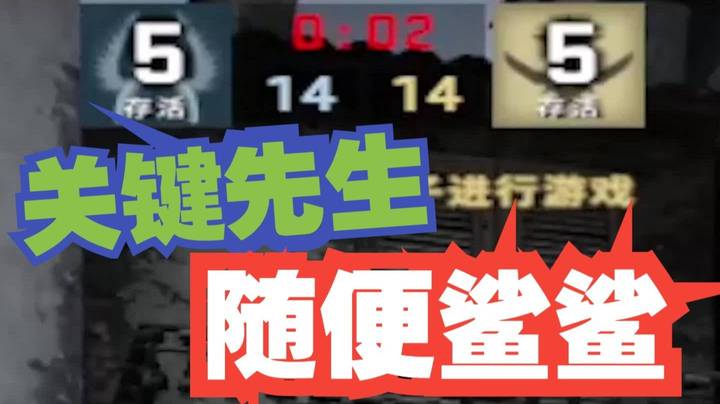 关键就是随便鲨鲨咯
