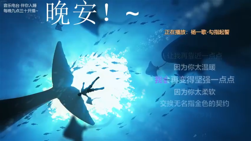 【2021-11-20 04点场】杨一歌：杨一歌：向着歌前进～11258