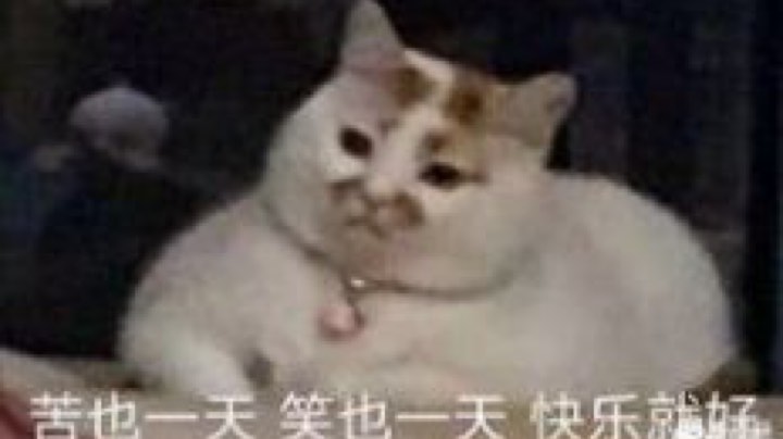 致命节奏